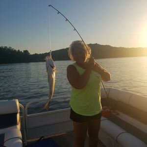 Meet your Posher, Tracy